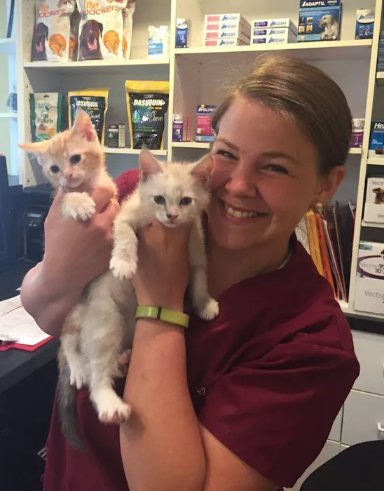 Bay Country Veterinary Hospital - Annapolis Picture 4