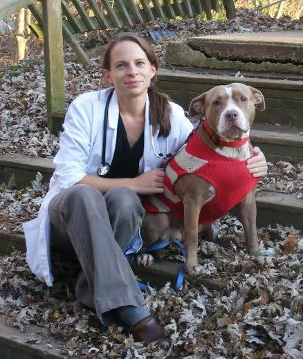Bay Country Veterinary Hospital - Annapolis Picture 10