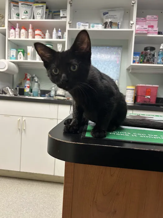 Bay Country Veterinary Hospital - Annapolis Picture 6