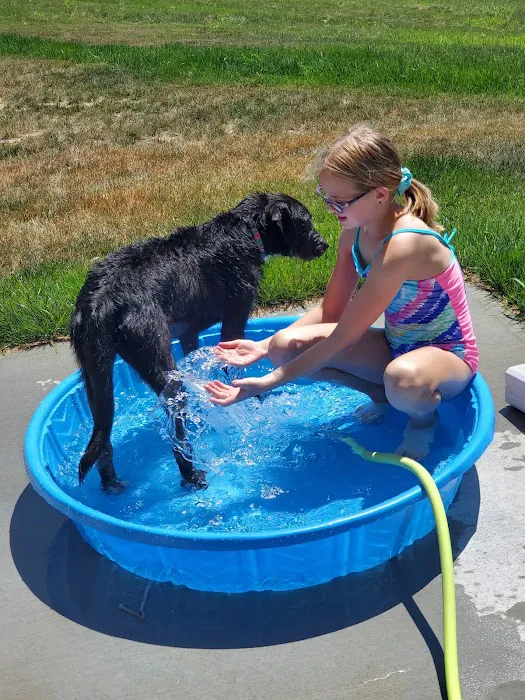 Humane Pet Services LLC Picture 3