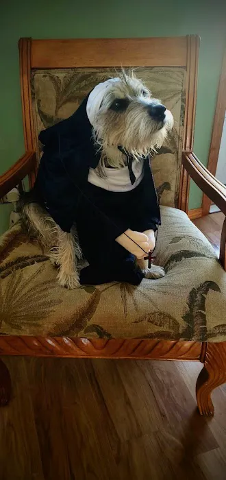 Humane Pet Services LLC Picture 7