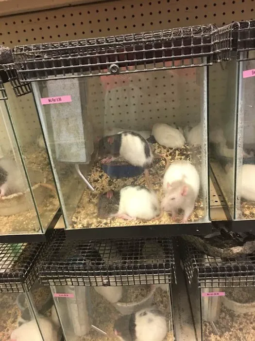Bird Cage Pet Shop Picture 1