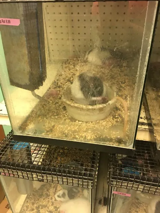 Bird Cage Pet Shop Picture 4