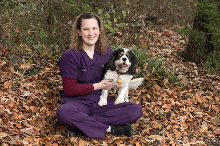 Compass Veterinary Neurology & Imaging Picture 1