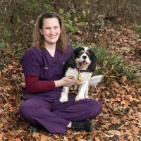 Compass Veterinary Neurology & Imaging ico