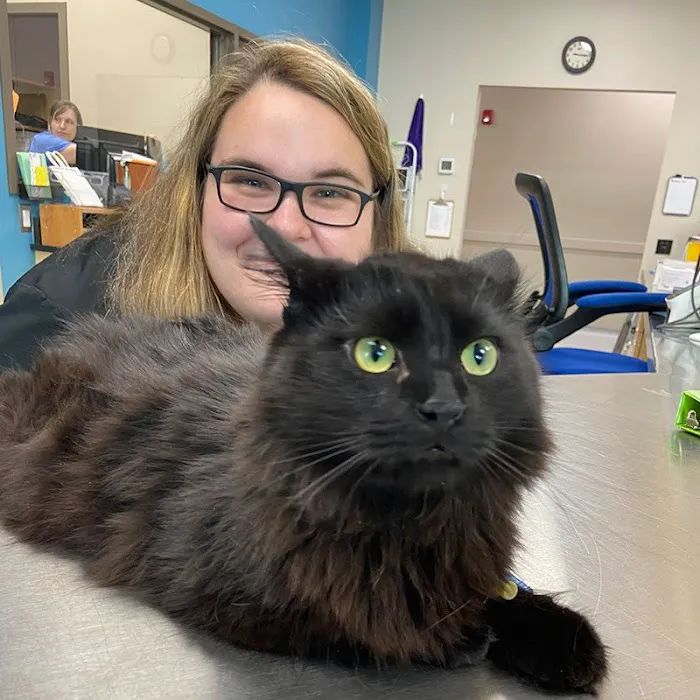 Compass Veterinary Neurology & Imaging Picture 6
