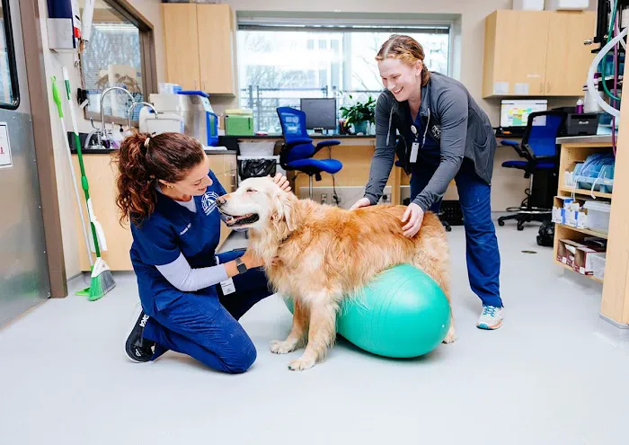Compass Veterinary Neurology & Imaging Picture 7