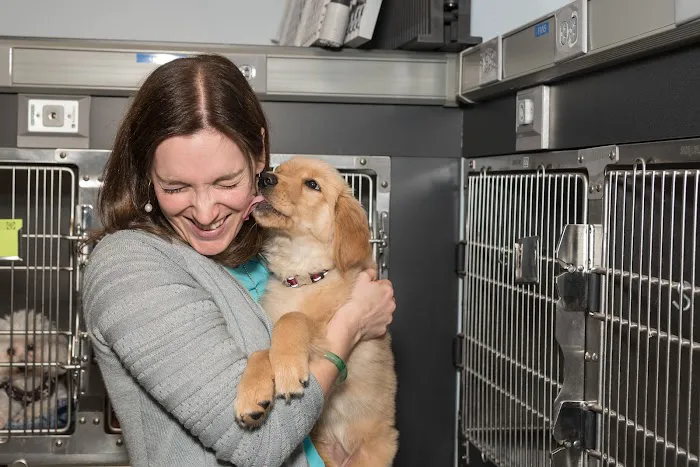 Compass Veterinary Neurology & Imaging Picture 5