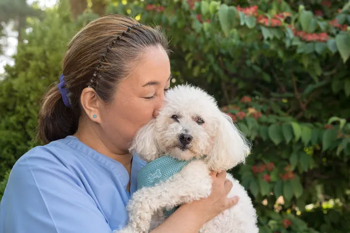 Compass Veterinary Neurology & Imaging Picture 10