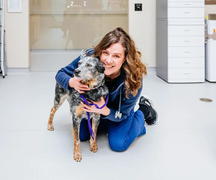 Compass Veterinary Neurology & Imaging Picture 8