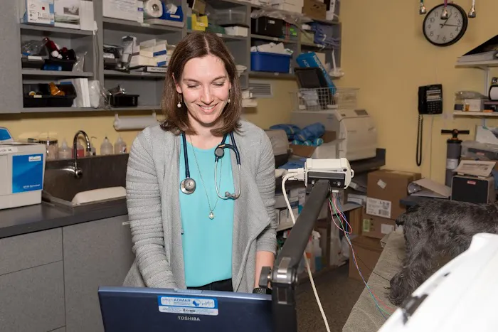 Compass Veterinary Neurology & Imaging Picture 9