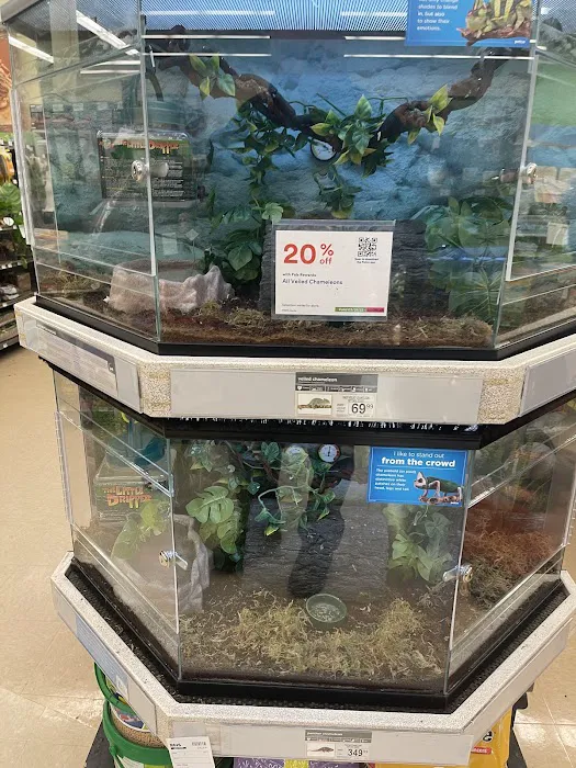 Petco Picture 1
