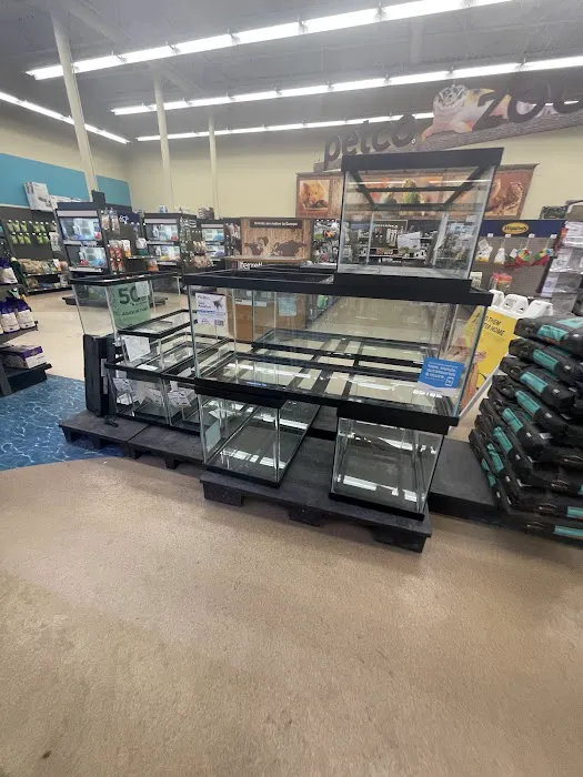 Petco Picture 3
