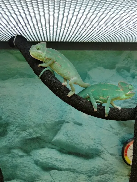 Petco Picture 9