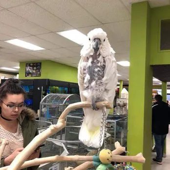 pets r us Picture 1