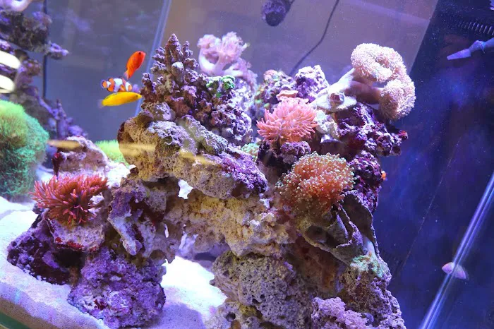 Aqua Pets Picture 2