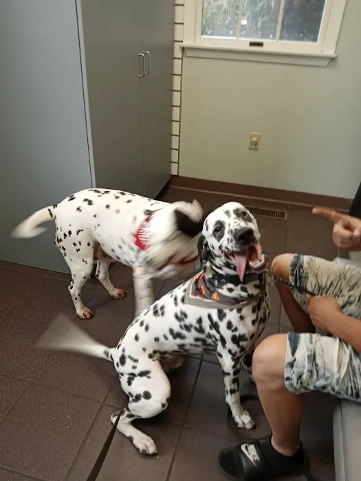 Mechanicsburg Veterinary Clinic Picture 1