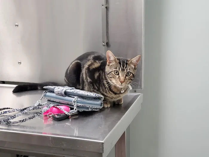 Mechanicsburg Veterinary Clinic Picture 2