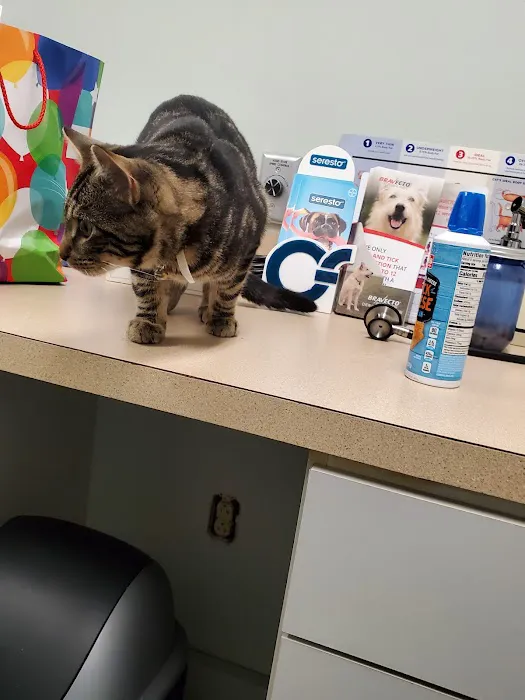 Mechanicsburg Veterinary Clinic Picture 6