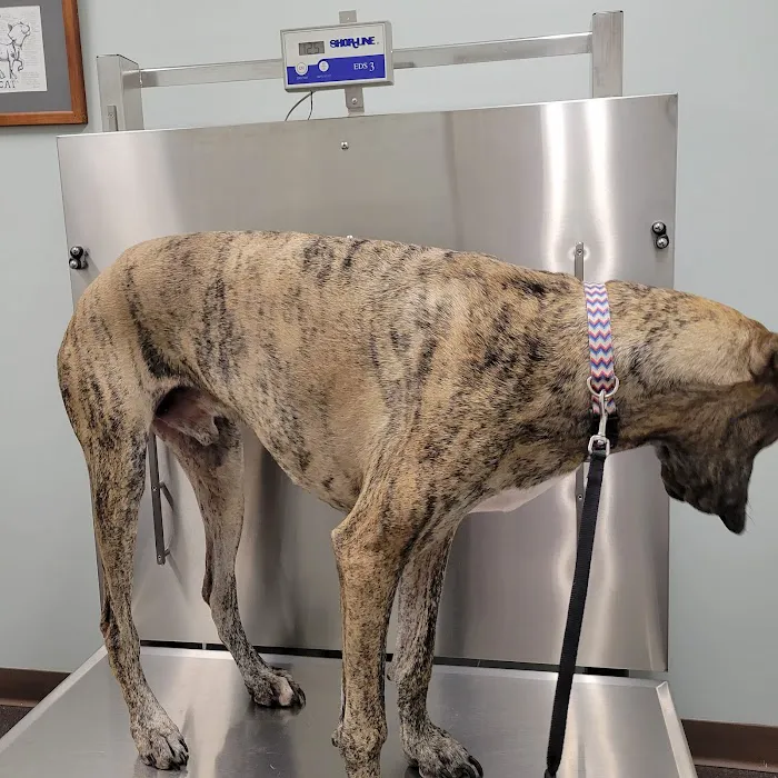 Mechanicsburg Veterinary Clinic Picture 7