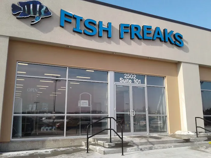 Fish Freaks Picture 1