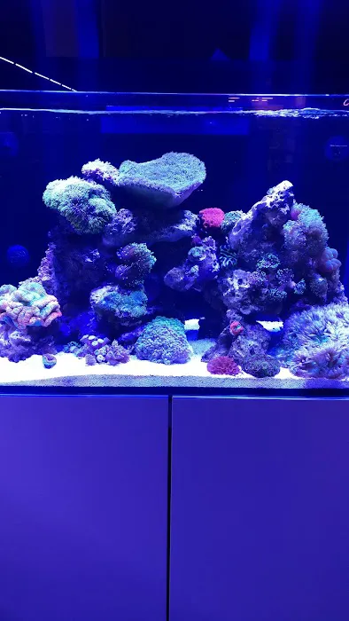 Fish Freaks Picture 2