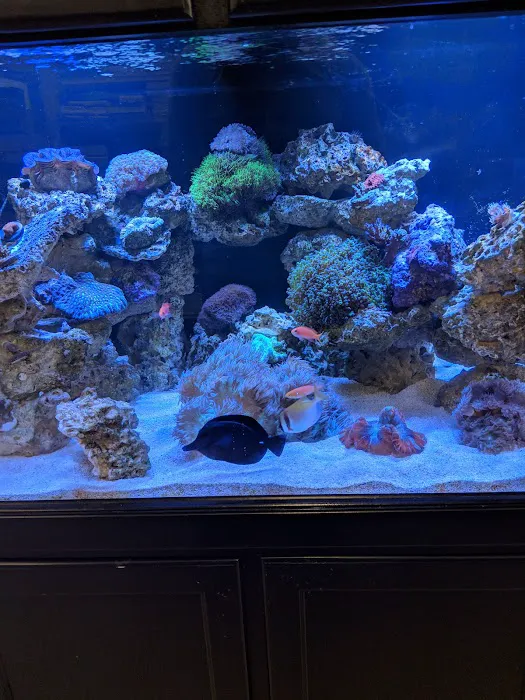 Fish Freaks Picture 7