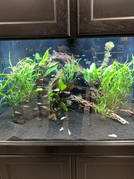 Fish Freaks Picture 8