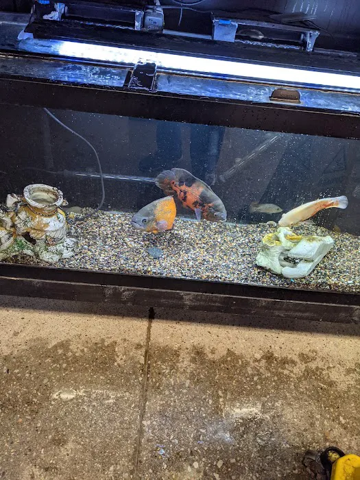 Fish Freaks Picture 10