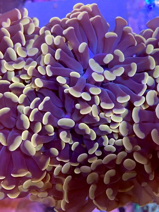 Omaha Aquaculture Picture 4