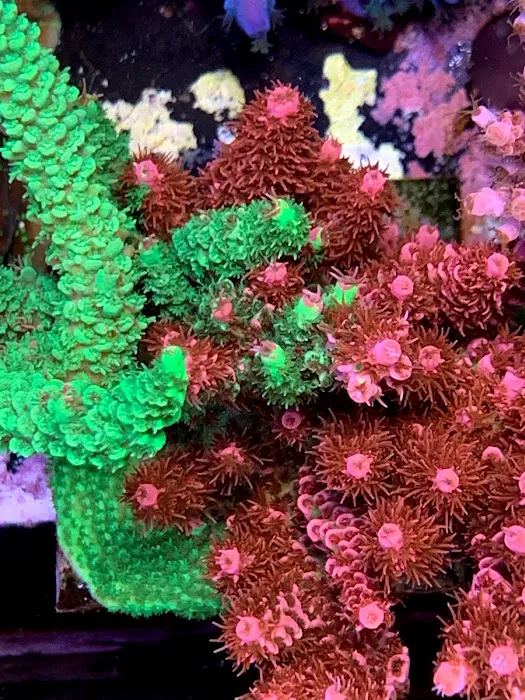 Omaha Aquaculture Picture 3