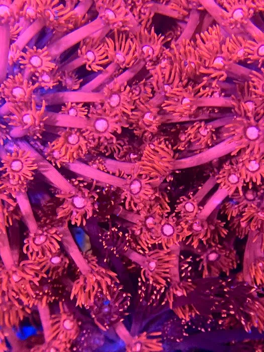 Omaha Aquaculture Picture 6