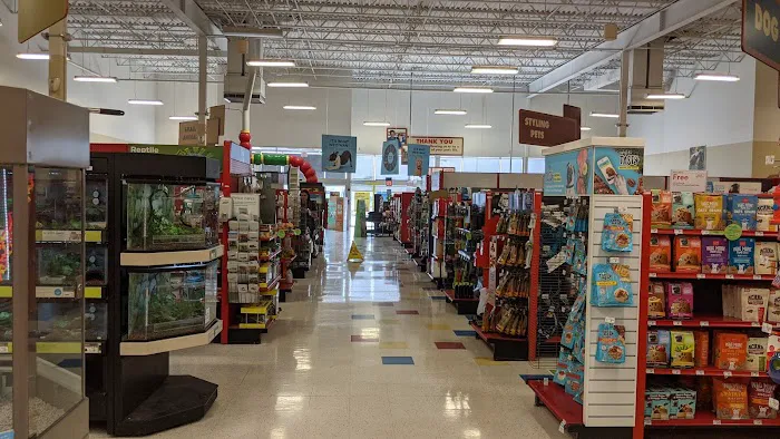 Petco Picture 5