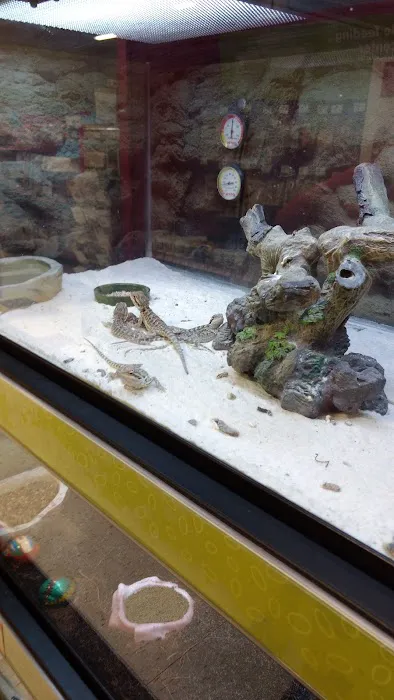 Petco Picture 2