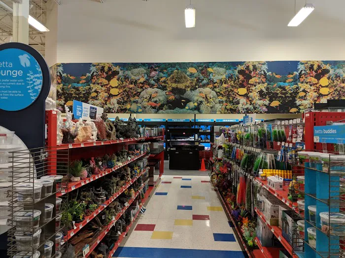 Petco Picture 9
