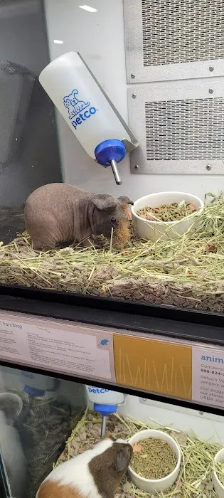 Petco Picture 7