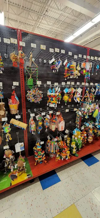 Petco Picture 4