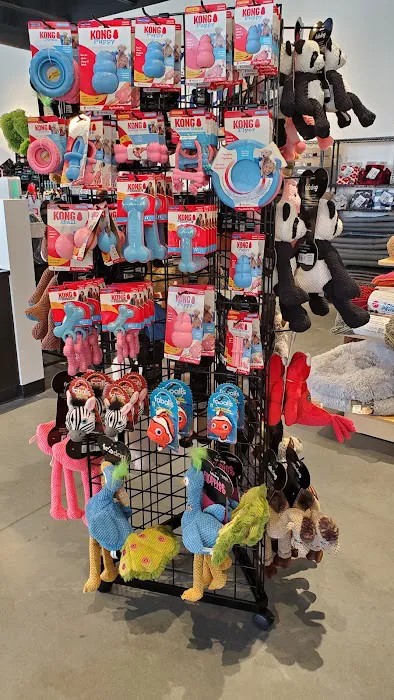 Fetch Pet Emporium Picture 5