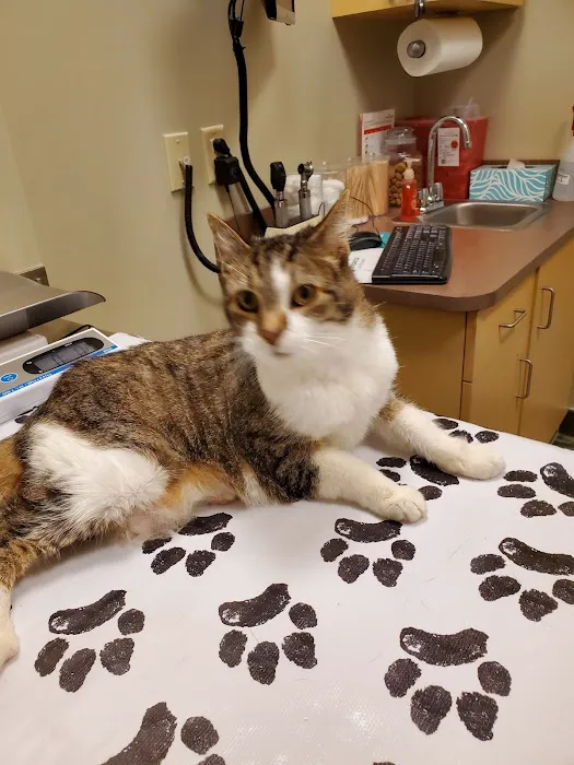 Good Hope Animal Hospital Picture 5
