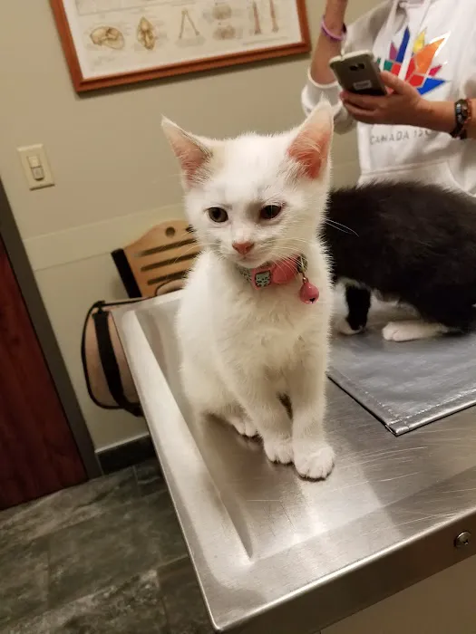Good Hope Animal Hospital Picture 1