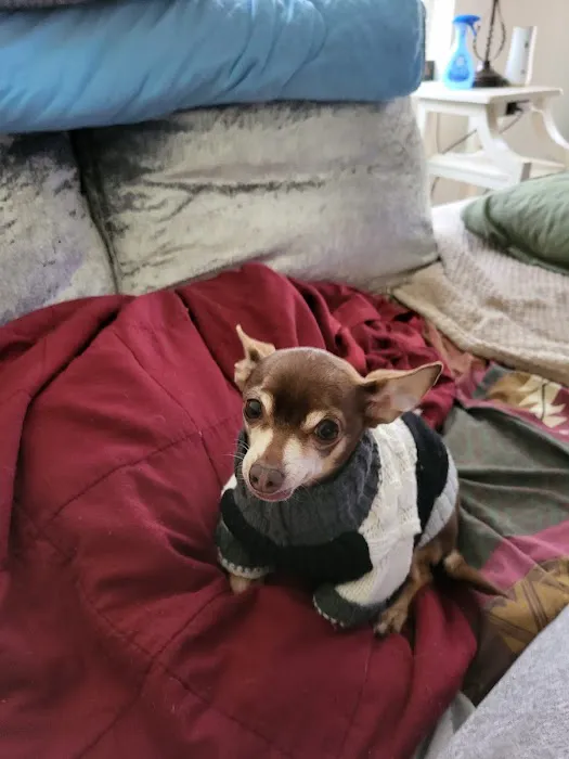 Good Hope Animal Hospital Picture 8