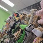 Pets Discount - Natural & Organic Pet Food