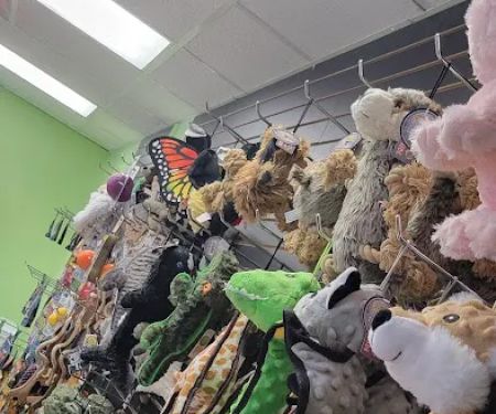 Pets Discount - Natural & Organic Pet Food