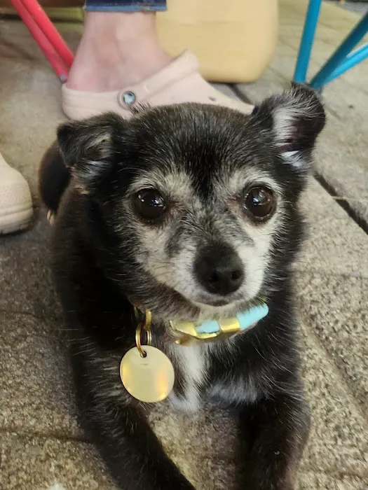 Paw Prints Veterinary Center Picture 5