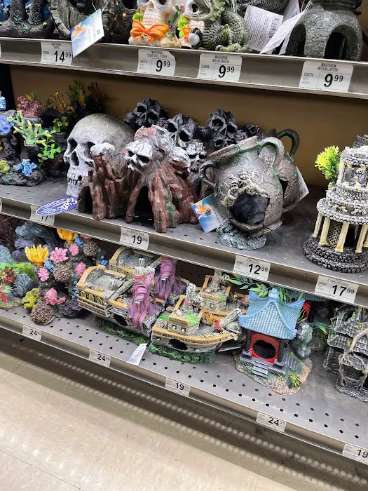Petco Picture 8