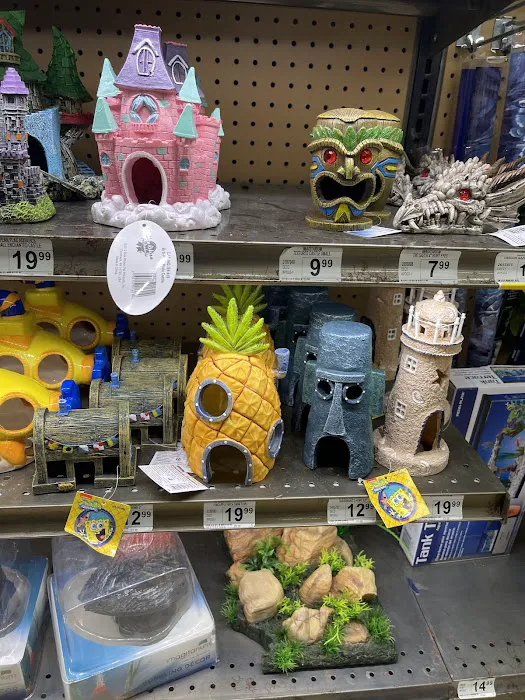 Petco Picture 2