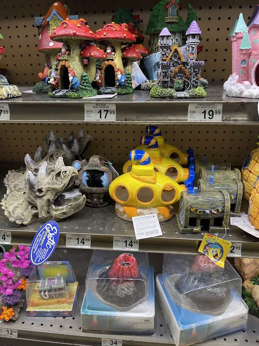 Petco Picture 9