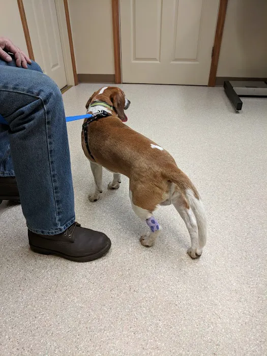 Millerstown Veterinary Associates PC Picture 6