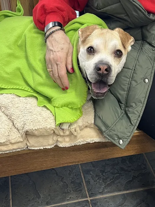 Muncy Veterinary Center Picture 5