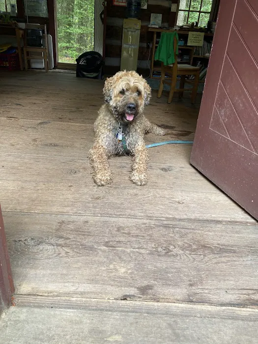 Muncy Veterinary Center Picture 1
